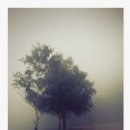 예덕민박 이미지