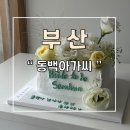 동백아가씨 | 해운대 수제 생화 케이크 전문점 동백아가씨 추천