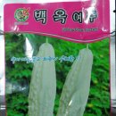 여주-0083 Daum카페