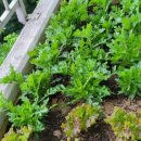 지에스농장 이미지