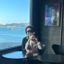 목스(Mox) 이미지