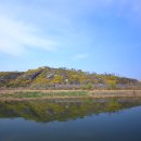 동산사슴목장 네이버블로그