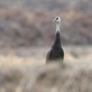 지리산골 이미지