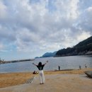 방죽포해수욕장(송림) | 여수 방죽포 해수욕장 바다 캠핑 추천
