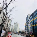 리틀 키즈 태권도장 이미지