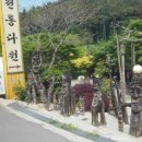 분재전통다원 이미지