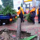 가로수주유소 이미지