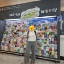 미미네 하우스 | 제주도 4박 5일 1일차 🍊✈️ (김포공항 떡볶이, 제주공항 버스 승차거부, 텔레토비 컬러샌드, 게스트하우스)