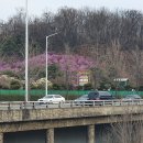 (주)효성 안양공장 이미지