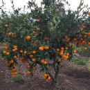 진선미농장 이미지