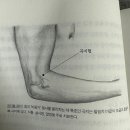 서당곡지 브런치