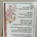 치유약국 | [후기]건강한 칫솔, 치유의 칫솔 6240🦷