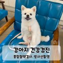 강서YD동물의료센터 | 강서구YD동물의료센터 강아지 종합건강검진 강서구 동물병원 추천