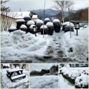 촌부의 단상-눈(雪)부자 이미지