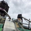 거제남서로 | [거제] 거제식물원