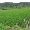 사봉면-2 이미지