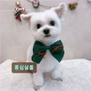 몽심살롱 이미지