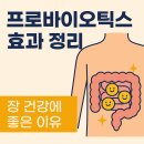 건강드림약국 | 프로바이오틱스 효과 정리 장 건강에 왜 좋은지 과학적으로 알려드림!