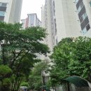명덕초등학교 | 더운여름, 강동롯데캐슬퍼스트 임장 후기/ 강동구 임장 후기