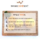 제주 동문시장 대아상회에서 카라향 구매후기