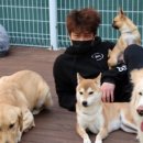 프로네앞마당 이미지