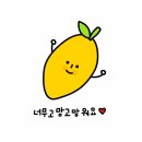 카페천국 이미지