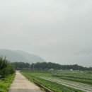 연인산모텔 이미지