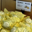 달팽이하우스 이미지