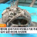 우리집 삼식이무침 이미지