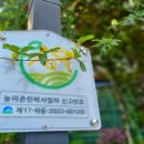 펜션i 이미지