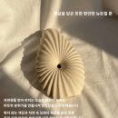 유포리아플라워 | 집들이선물 추천, 감성 인테리어를 완성하는 유포리아이펙트 오브제 화병
