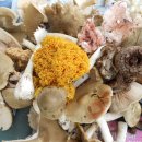 산영농장 이미지