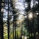 구곡폭포(문배마을) 이미지