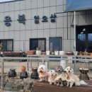 일오삼식당 이미지