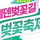 벚꽃길 네이버블로그