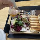 하남 카페알로 후기(주말만 가능한 애견동반)