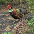 책놀이터작은도서관 이미지