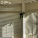 그린어스 이미지