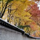 돌담길