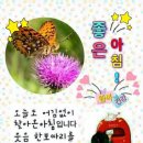 쪼아쪼아 이미지