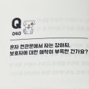 내 강아지 이미지