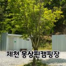 에어컨, 난로 걱정 없는 캠핑? 제천 몽상핀캠핑장 솔직 후기