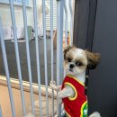 파라다이스유치원 이미지