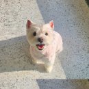 포즈티브 이미지