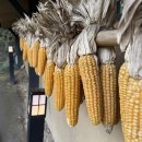 최참판댁 | [하동가볼만한곳 추천] 하동최참판댁 드라마촬영지 방문 후기