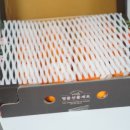 (주)땡큐파머스 이미지