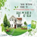 현대오일뱅크 주유소 맞은편 이미지