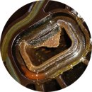 천마카센터 이미지