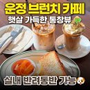 가람유치원 | [파주 운정] 노어스 | 가람마을 애견동반 가능한 햇살 가득한 브런치 맛집! 🥪