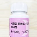뮤시아 네이버블로그